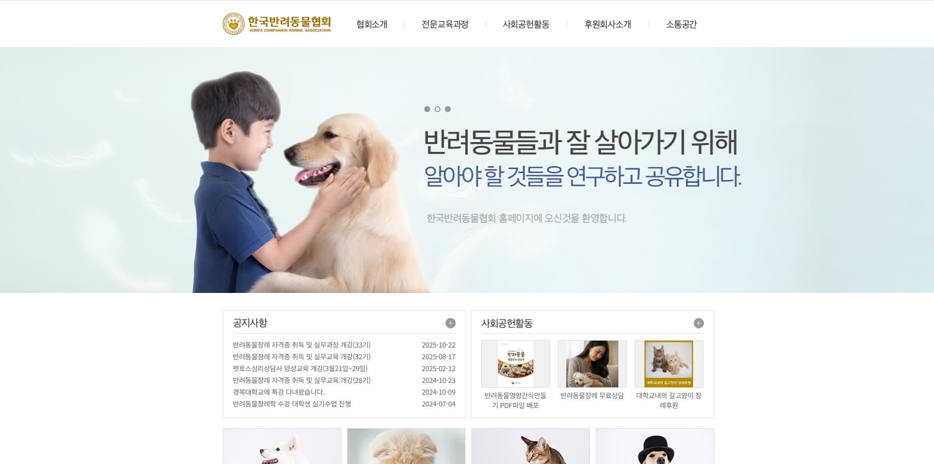 한국반려동물협회